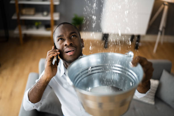 Reliable Seneca, MO Water damage restoration Solutions