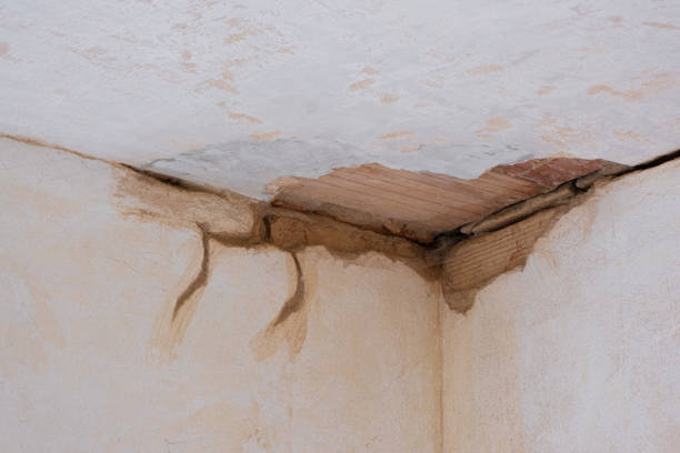 Best Sewage cleanup and water damage restoration  in Seneca, MO