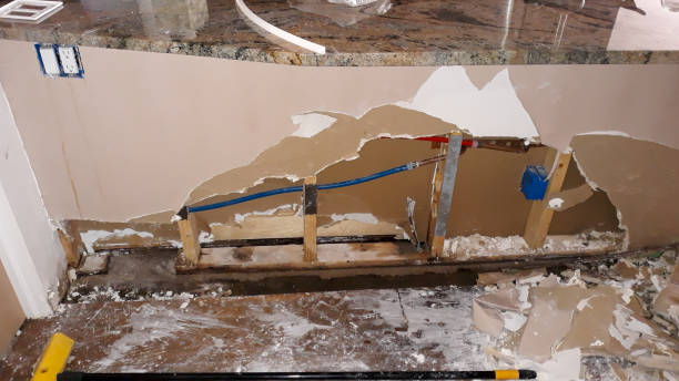 Best Water damage cleanup near me  in Seneca, MO