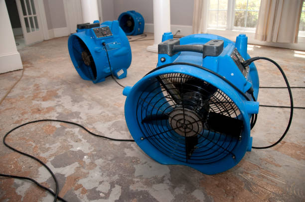 Trusted Seneca, MO Water damage restoration Experts