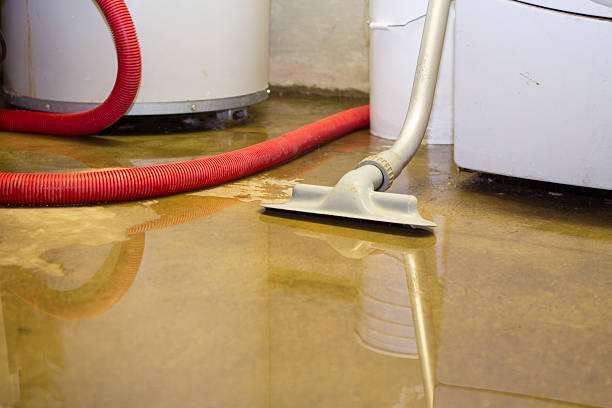 Best Mold removal after water damage  in Seneca, MO