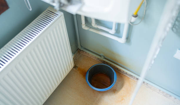 Best Water damage cleanup near me  in Seneca, MO