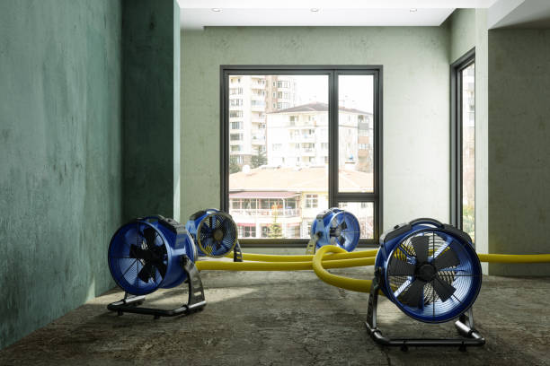 Best Carpet water damage restoration  in Seneca, MO